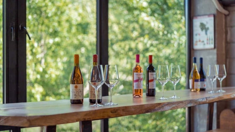 Ananuri, Gudauri and Kazbegi full Day Trip - Marveling at Gudauri Mountain Resort and Its Panoramas