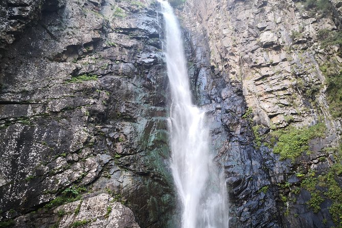 Ananuri-Gudauri-Kazbegi Private Full Day Tour from Tbilisi - Logistics and Comfort of the Tour