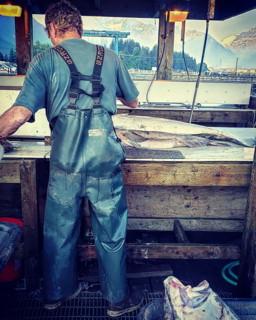 Anchorage: 11 Day Grand Alaska Highlights Tour - Glacier Flightseeing and Ice Climbing Opportunities