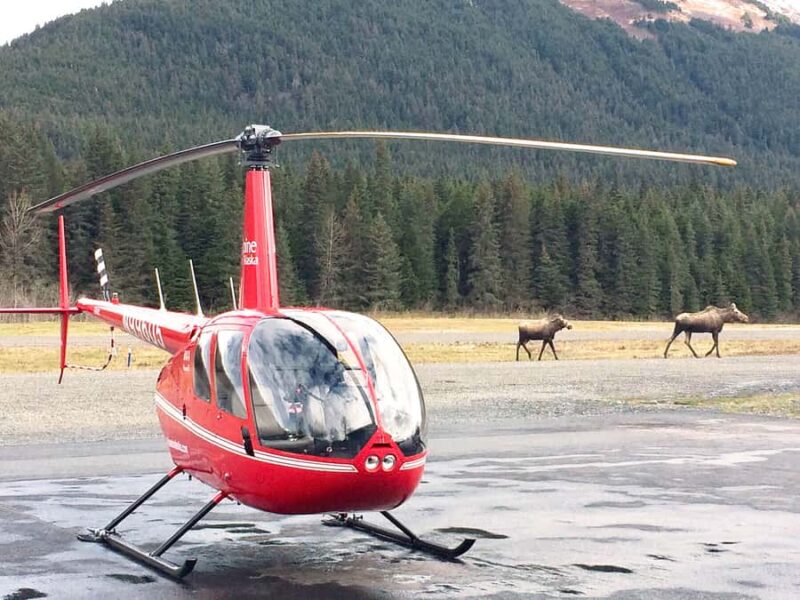 Anchorage: 30-min Helicopter Flightseeing Tour - Key Points