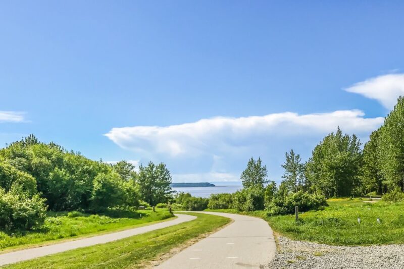 Anchorage: Coastal Trail 3-Hour City Bike Tour - Discovering Anchorage’s Largest Park: Kincaid Park