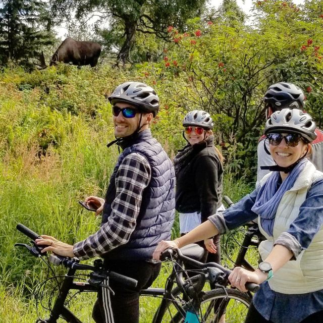 Anchorage: Coastal Trail 3-Hour City Bike Tour - Suitable for All Ages and Biking Skills