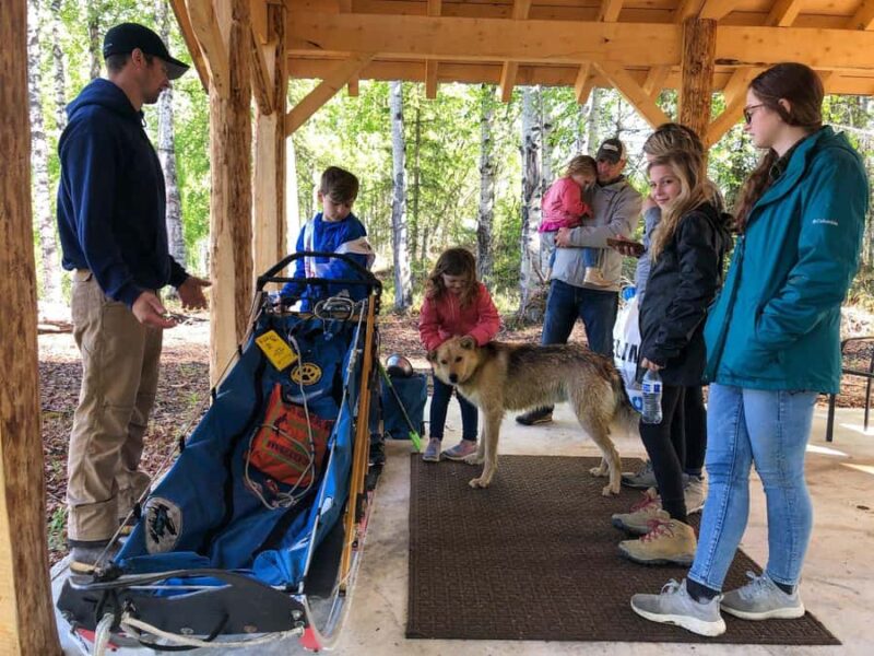 Anchorage: Dog Sled Ride in Willow with Transfers - Discover the Authentic Alaskan Dog Sledding Experience in Willow