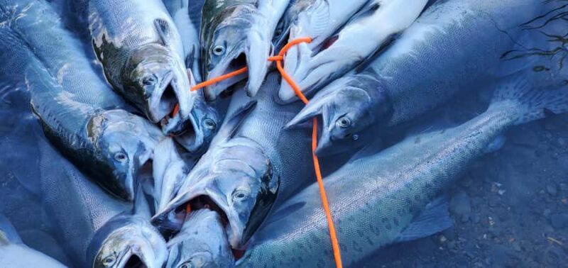 Anchorage: Full-day guided salmon fishing with Hotel Pickup - Physical Requirements and Accessibility Considerations