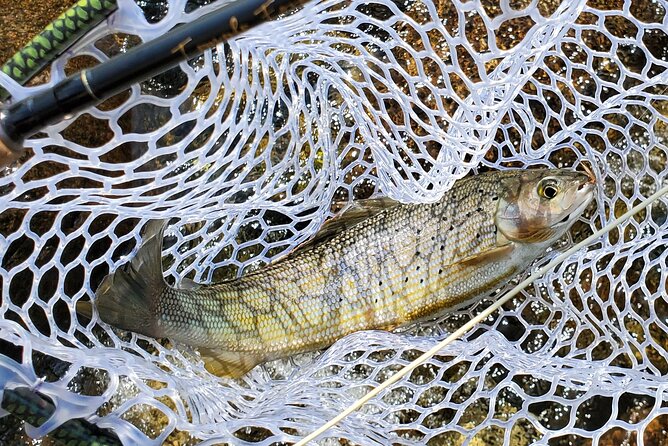 Anchorage Guided Fly-fishing - Final Thoughts on the Anchorage Guided Fly-fishing Tour