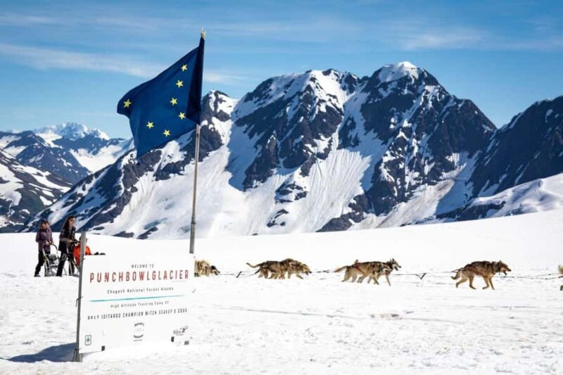 Anchorage: Helicopter Glacier Dogsledding Tour - Key Points