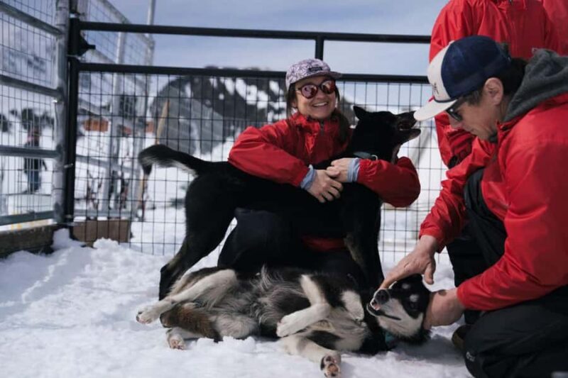 Anchorage: Helicopter Glacier Dogsledding Tour - Safety and Booking Flexibility