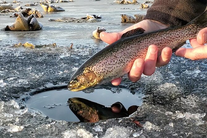 Anchorage Ice Fishing Adventure - Key Points