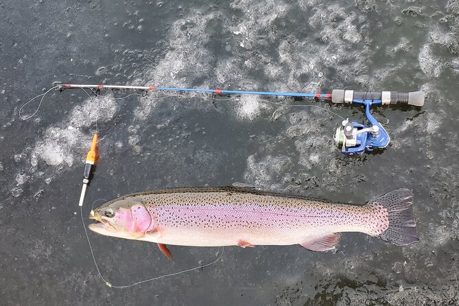 Anchorage Ice Fishing Adventure - Flexibility and Cancellation Policy