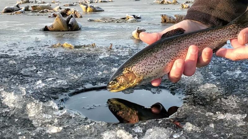 Anchorage: Ice Fishing Trip With Transportation - Discover Anchorages Ice Fishing Adventure with Guided Comfort