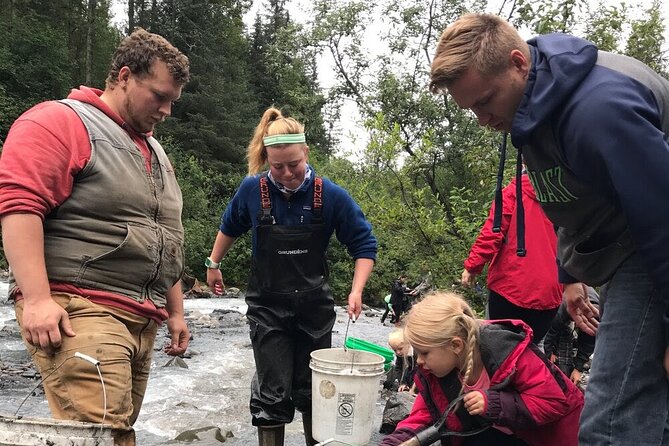 Anchorage: Kenai Fjords & Denali National Park 5 Day 4 Night Tour - Pricing, Inclusions, and Additional Costs