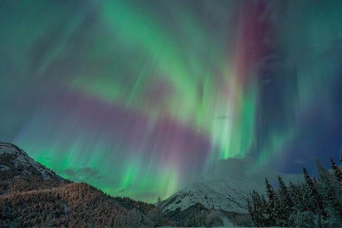 Anchorage Northern Lights Tour - The Experience of Searching for the Aurora Borealis