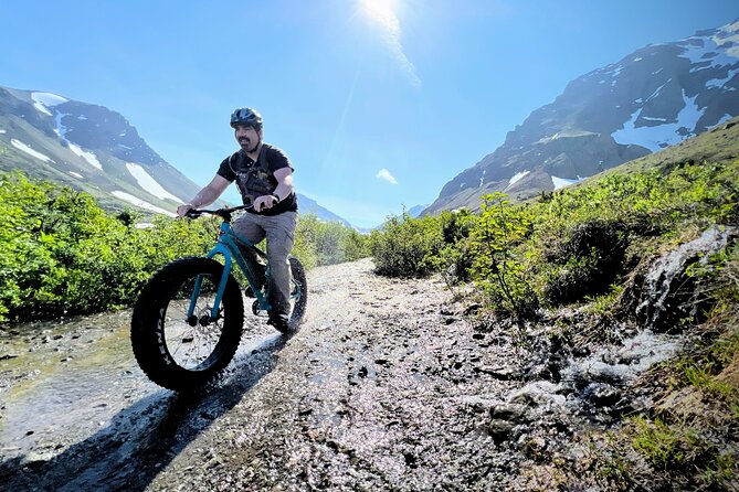 Anchorage Scenic Mountain Bike Tour - Personal Guide Led Adventure and Small Group Experience