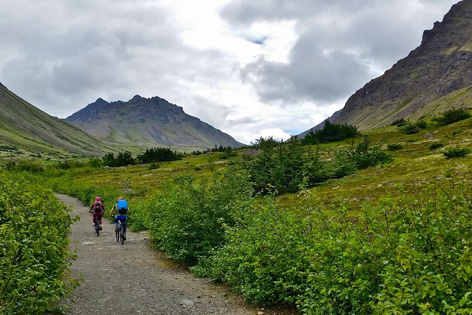 Anchorage Scenic Mountain Bike Tour - Meeting Location and Tour Schedule