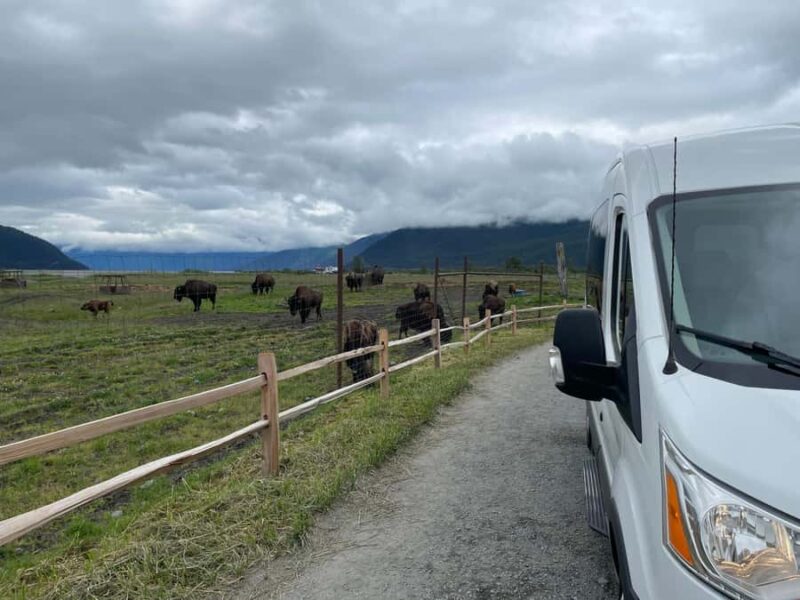 Anchorage: Scenic Tour to Wildlife Center - What to Expect During the 4-Hour Tour
