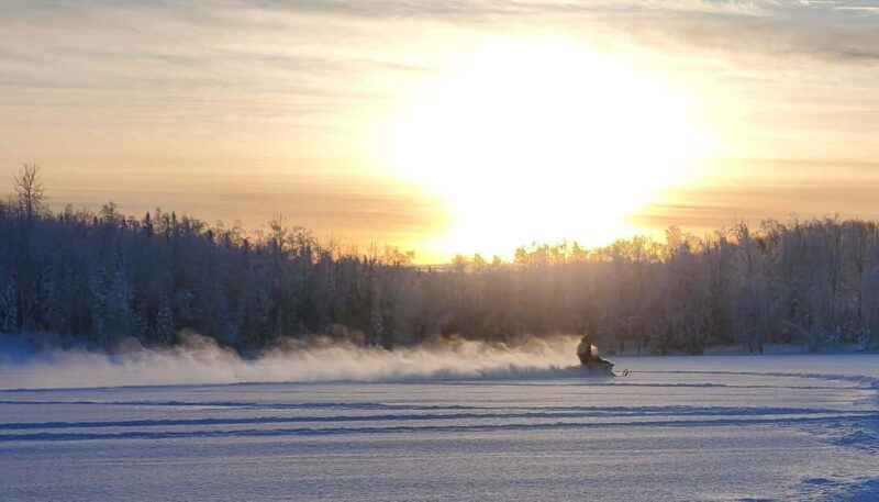 Anchorage: Snowmobile Adventure with Transportation - Wildlife Viewing and Natural Scenery Along the Rides
