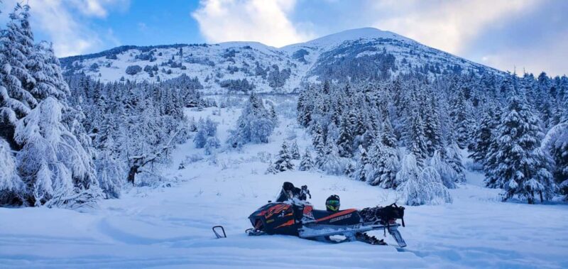 Anchorage: Snowmobile Adventure with Transportation - Who Will Most Enjoy This Tour