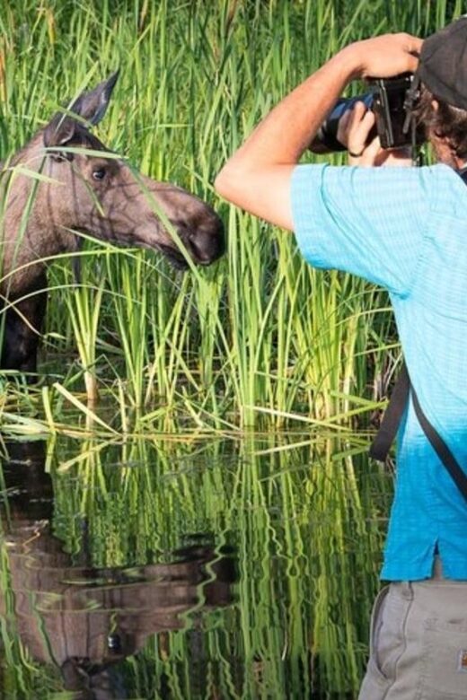 Anchorage: Sunset Photo Safari - Flexibility and Spontaneous Stops for Wildlife Photography