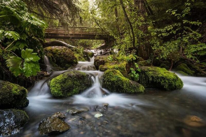 Anchorage: Sunset Photo Safari - Who Should Consider the Anchorage Sunset Photo Safari