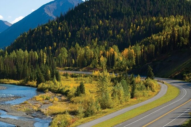 Anchorage to Seward Direct Transfer Tour - Convenient Departure from Anchorage for Cruise Travelers