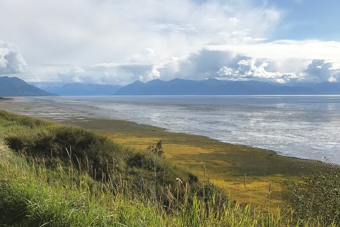 Anchorage to Seward Direct Transfer Tour - Light Narration and Local Insights from Experienced Drivers