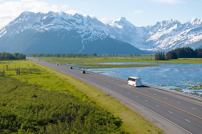 Anchorage to Seward Direct Transfer Tour - The Final Leg to Seward’s Cruise Terminal