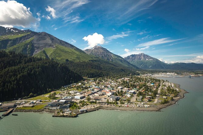 Anchorage to Seward Direct Transfer Tour - Who Will Benefit Most From This Transfer?
