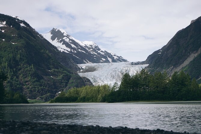 Anchorage to Seward- Pre-Cruise Curated Wildlife Tour +Transfer - Potter Marsh Bird Sanctuary: Nature and Birdwatching