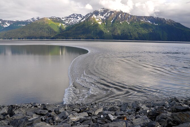 Anchorage to Whittier Direct Transfer Tour - Anchorage to Whittier Direct Transfer Tour: A Scenic Ride with Expert Guidance