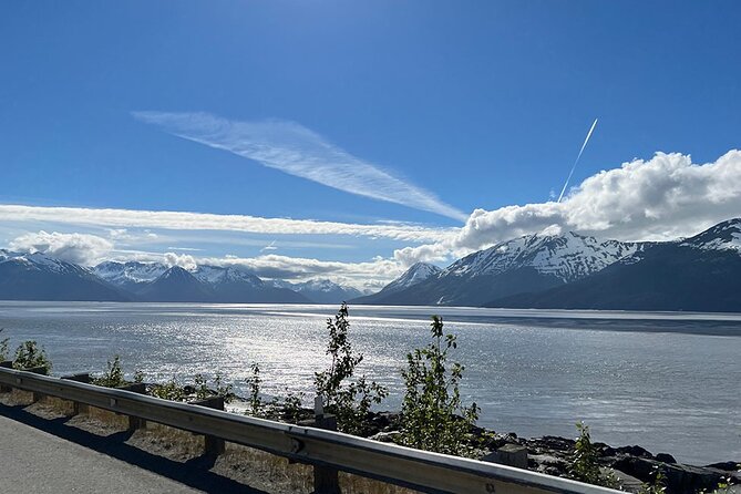 Anchorage to Whittier Direct Transfer Tour - Knowledgeable Driver-Guides Offer Light, Engaging Narration
