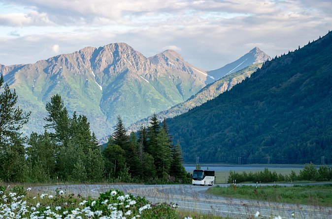 Anchorage to Whittier Direct Transfer Tour - Stops and Optional Sightseeing Opportunities
