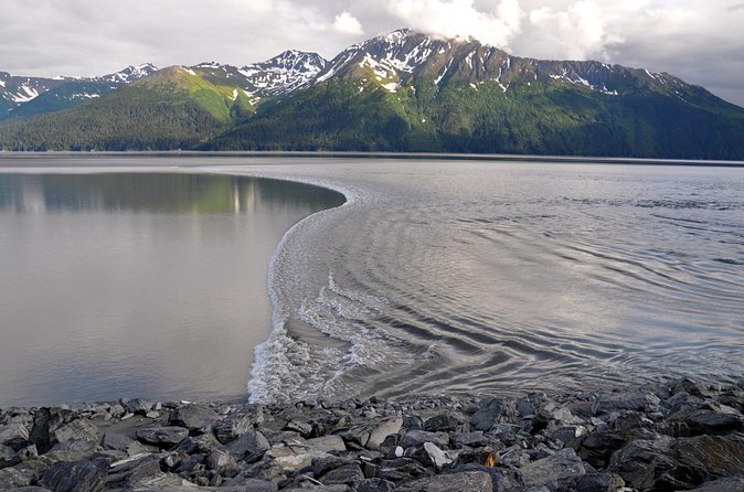 Anchorage to Whittier Direct Transfer Tour - Who Should Choose This Transfer?