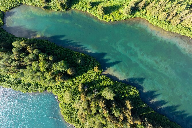 Anchorage to Whittier Wildlife Adventure - Key Points