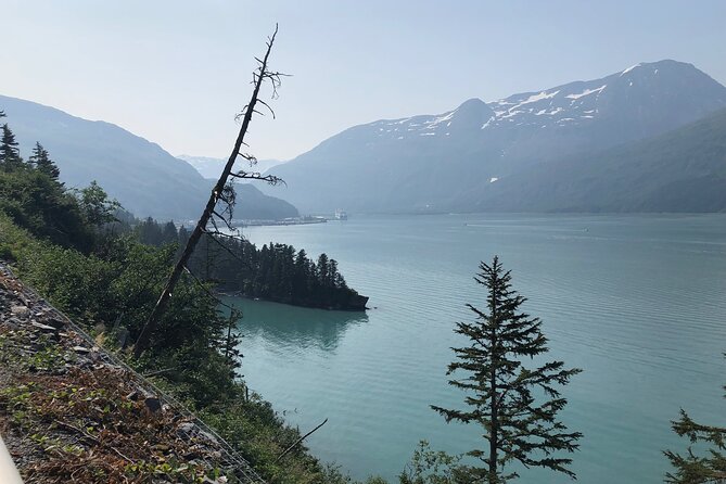 Anchorage to Whittier Wildlife Adventure - Exploring the Alaska Wildlife Conservation Center