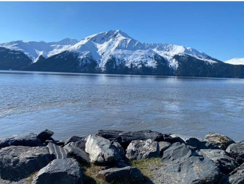 Anchorage: Wildlife Conservation Center & Portage Valley - The Guide Experience and Highlights from Reviews