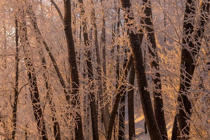 Anchorage Winter Wonderland Photo Tour - Frozen Waterfalls and Coastal Views along Turnagain Arm Drive
