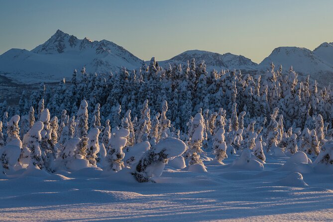 Anchorage Winter Wonderland Photo Tour - Sunset Photography at Campbell Creek Estuary