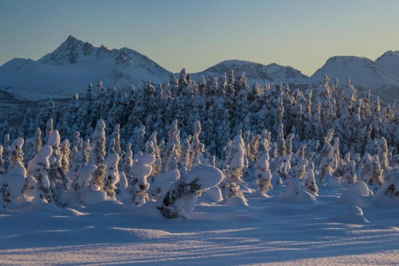 Anchorage: Winter Wonderland Photo Tour - Discover the Anchorage Winter Wonderland Photo Tour
