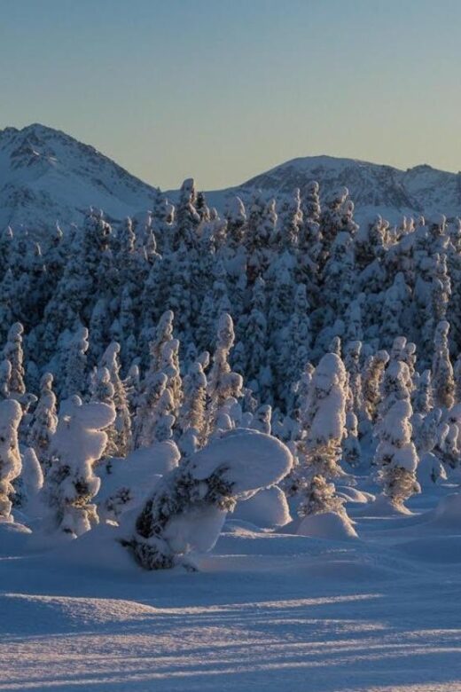 Anchorage: Winter Wonderland Photo Tour - Booking Flexibility and Cancellation Policy