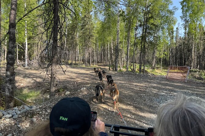 Anchorage's Authentic Dog Sledding Experience - Short Dryland Sled Ride on the Tozier Track