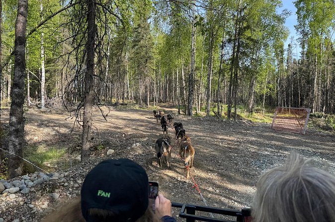 Anchorage's Authentic Dog Sledding Experience - Value for Money and Overall Experience