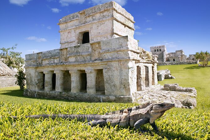 Ancient adventure, visit Tulum Ruins with ZIPLINES, a UNDERGROUND CENOTE &Buffet - Tasty Buffet and Refreshing Drinks