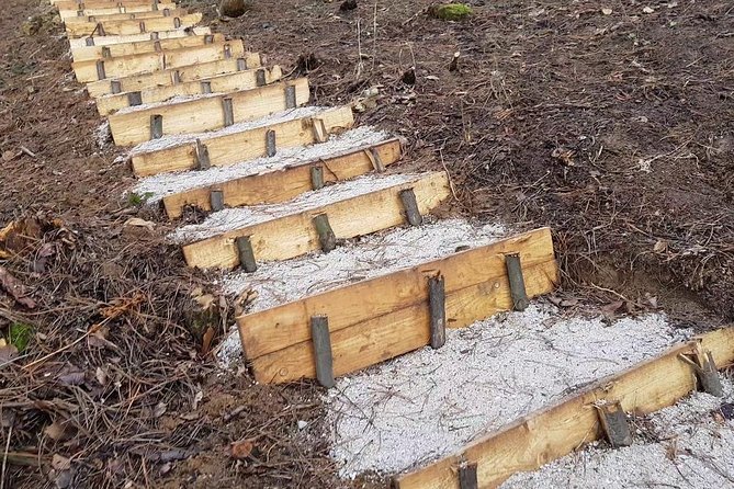 Ancient Bosnian Pyramid of the Sun - Practicalities and Tips for Visitors