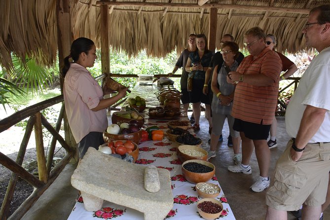 Ancient Chacchoben Mayan Ruins & Mayan Experience from Costa Maya - How the Tour Handles Logistics and Transportation