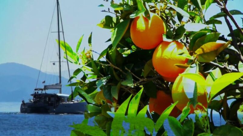 Ancient Corinth, Mycenae & snorkelling in sunken city - Key Points