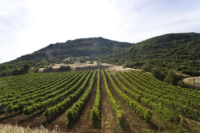 Ancient Corinth & Nemea Tour to Culture - Practical Details: Transportation and Comfort