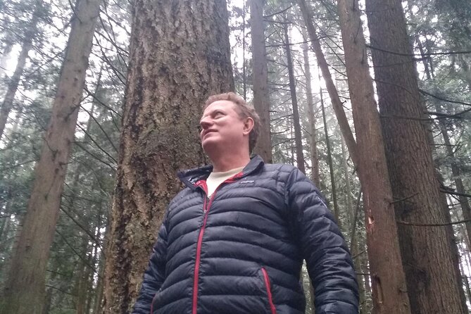 Ancient Forest , Waterfalls and Stunning Vistas Day Tour - An In-Depth Look at the Tours Key Locations