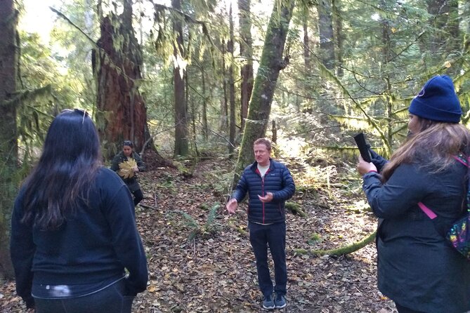 Ancient Forest , Waterfalls and Stunning Vistas Day Tour - Frequently Asked Questions