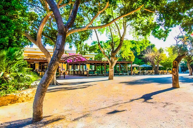 Ancient Greek Calligraphy Workshop at Historical Cafe in Chania - Creating Your Personal Artwork to Take Home