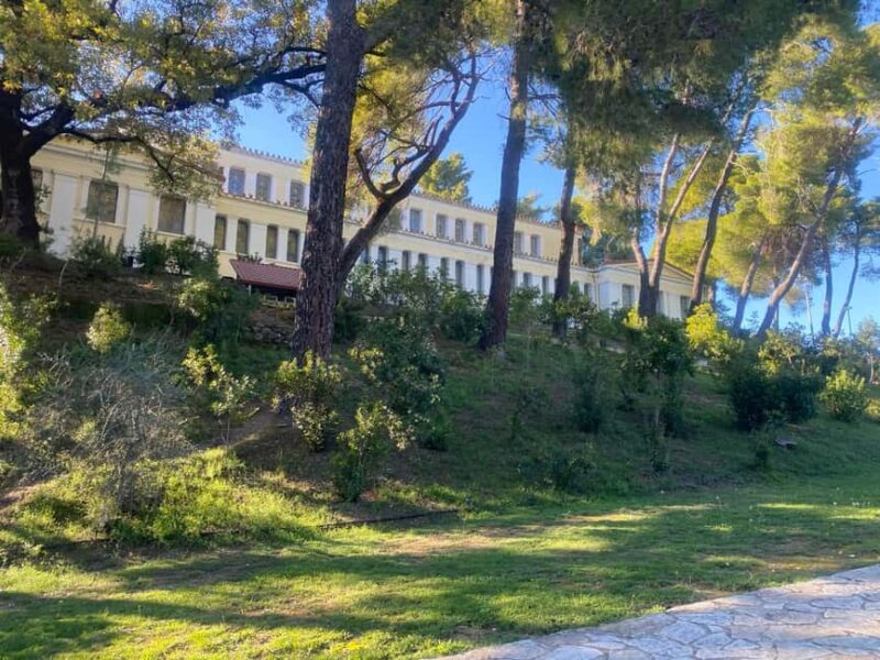 Ancient Olympia: Agrotourism tour, honey, wine, and oil tasting. - Honey Tasting and Tour at a Local Honey Farm